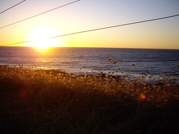 IMGP8497.JPG IMGP8497.JPG