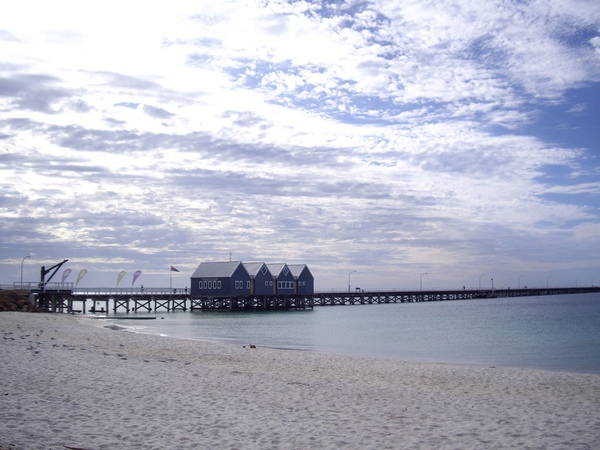 IMGP8687.JPG IMGP8687.JPG