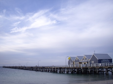 IMGP9114.JPG IMGP9114.JPG