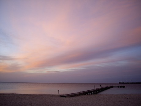 IMGP9132.JPG IMGP9132.JPG