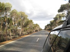 IMG_0747.JPG IMG_0747.JPG