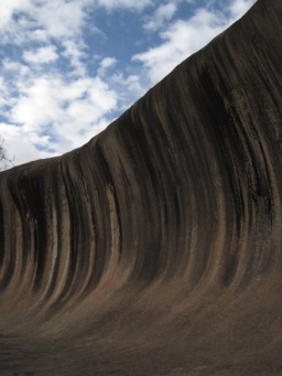 IMG_0990.JPG IMG_0990.JPG