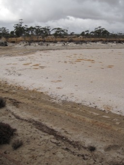 IMG_1009.JPG IMG_1009.JPG