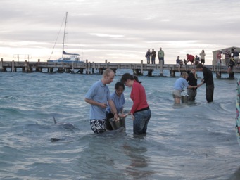 IMG_1816.JPG IMG_1816.JPG