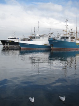 IMG_1044.JPG IMG_1044.JPG