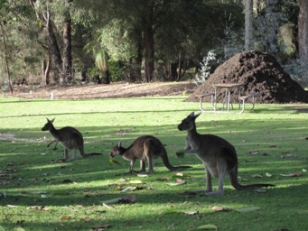 IMG_1199.JPG IMG_1199.JPG