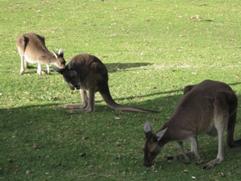 IMG_1207.JPG IMG_1207.JPG