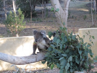 IMG_1211.JPG IMG_1211.JPG