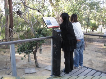 IMG_1223.JPG IMG_1223.JPG