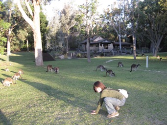 IMG_1255.JPG IMG_1255.JPG