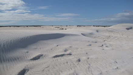 IMG_1333.JPG IMG_1333.JPG