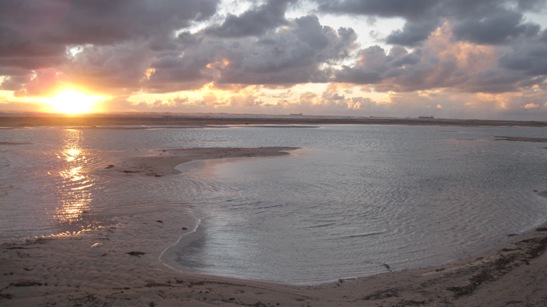 IMG_1521.JPG IMG_1521.JPG