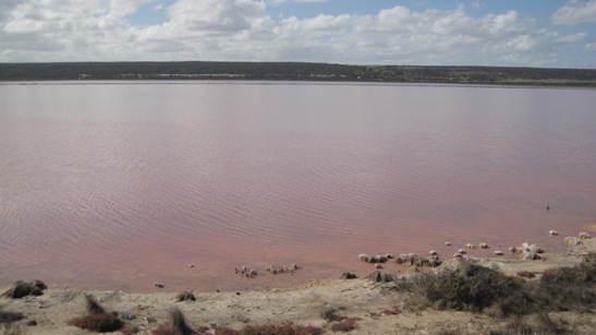 IMG_1542.JPG IMG_1542.JPG