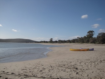 IMG_1567.JPG IMG_1567.JPG