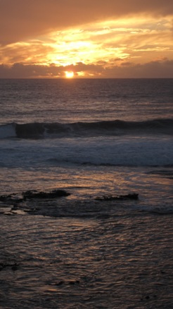 IMG_1608.JPG IMG_1608.JPG