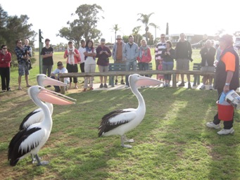 IMG_1619.JPG IMG_1619.JPG