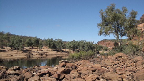 IMG_1662.JPG IMG_1662.JPG