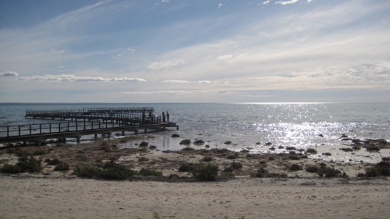 IMG_1682.JPG IMG_1682.JPG