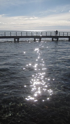 IMG_1709.JPG IMG_1709.JPG