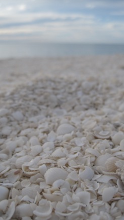 IMG_1751.JPG IMG_1751.JPG