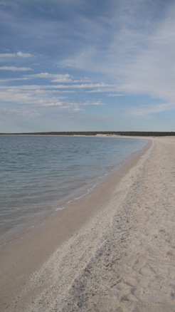 IMG_1756.JPG IMG_1756.JPG