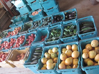 IMG_1965.JPG IMG_1965.JPG