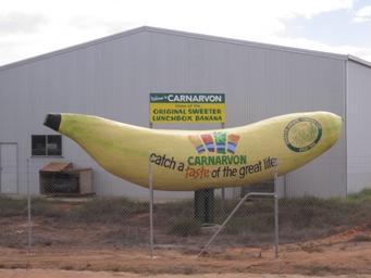 IMG_1850.JPG IMG_1850.JPG