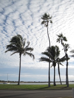 IMG_1887.JPG IMG_1887.JPG