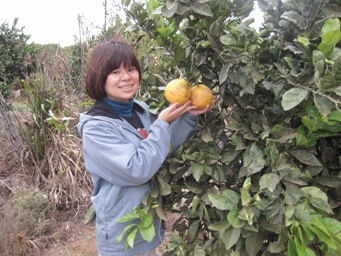 IMG_1909.JPG IMG_1909.JPG