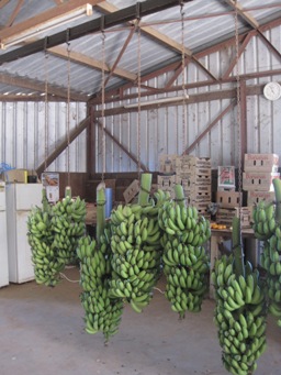 IMG_1940.JPG IMG_1940.JPG