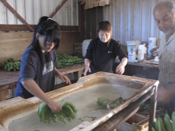 IMG_1943.JPG IMG_1943.JPG