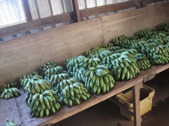 IMG_1944.JPG IMG_1944.JPG