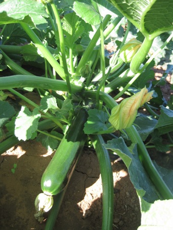 IMG_1947.JPG IMG_1947.JPG