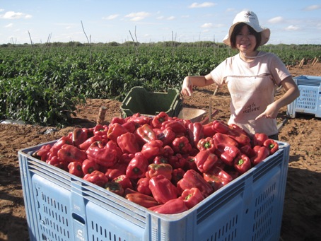 IMG_2021.JPG IMG_2021.JPG