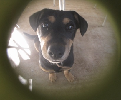 IMG_2056.JPG IMG_2056.JPG