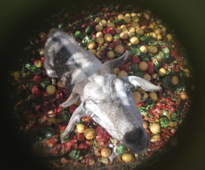 IMG_2068.JPG IMG_2068.JPG