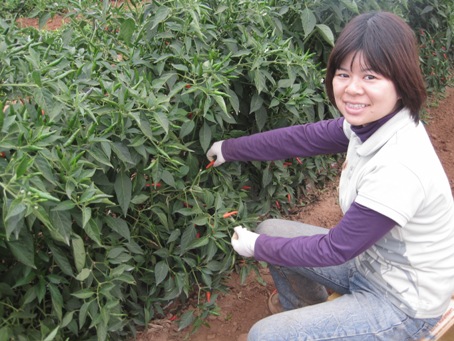 IMG_2101.JPG IMG_2101.JPG