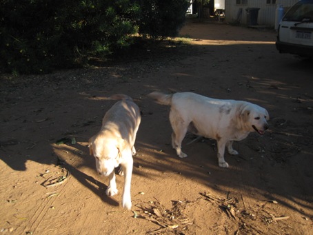 IMG_2147.JPG IMG_2147.JPG