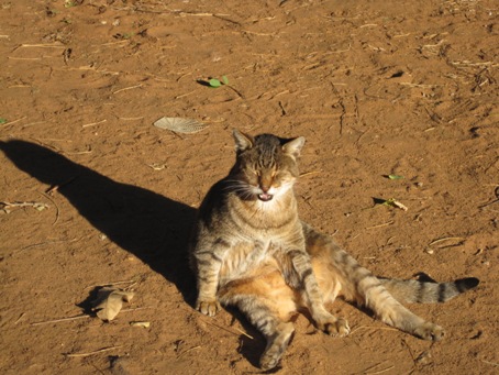 IMG_2152.JPG IMG_2152.JPG