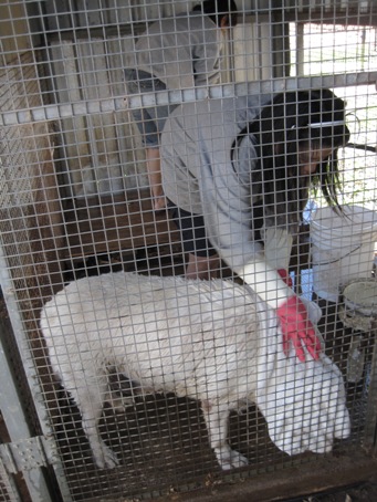 IMG_2195.JPG IMG_2195.JPG