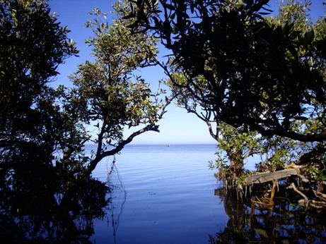 IMGP9806.JPG IMGP9806.JPG