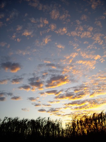 IMGP9849.JPG IMGP9849.JPG