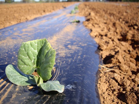 IMGP9895.JPG IMGP9895.JPG