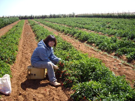 IMGP9900.JPG IMGP9900.JPG