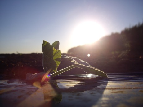 IMGP9974.JPG IMGP9974.JPG