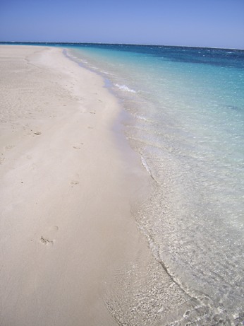 IMGP0035.JPG IMGP0035.JPG