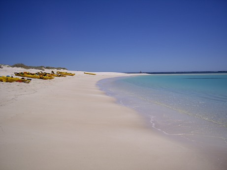 IMGP0075.JPG IMGP0075.JPG