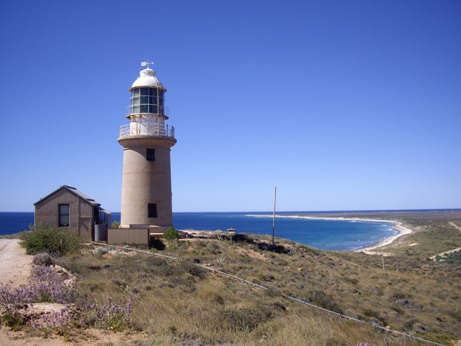 IMGP0095.JPG IMGP0095.JPG