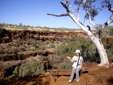 IMGP0166.JPG IMGP0166.JPG