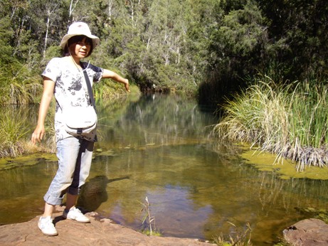 IMGP0208.JPG IMGP0208.JPG